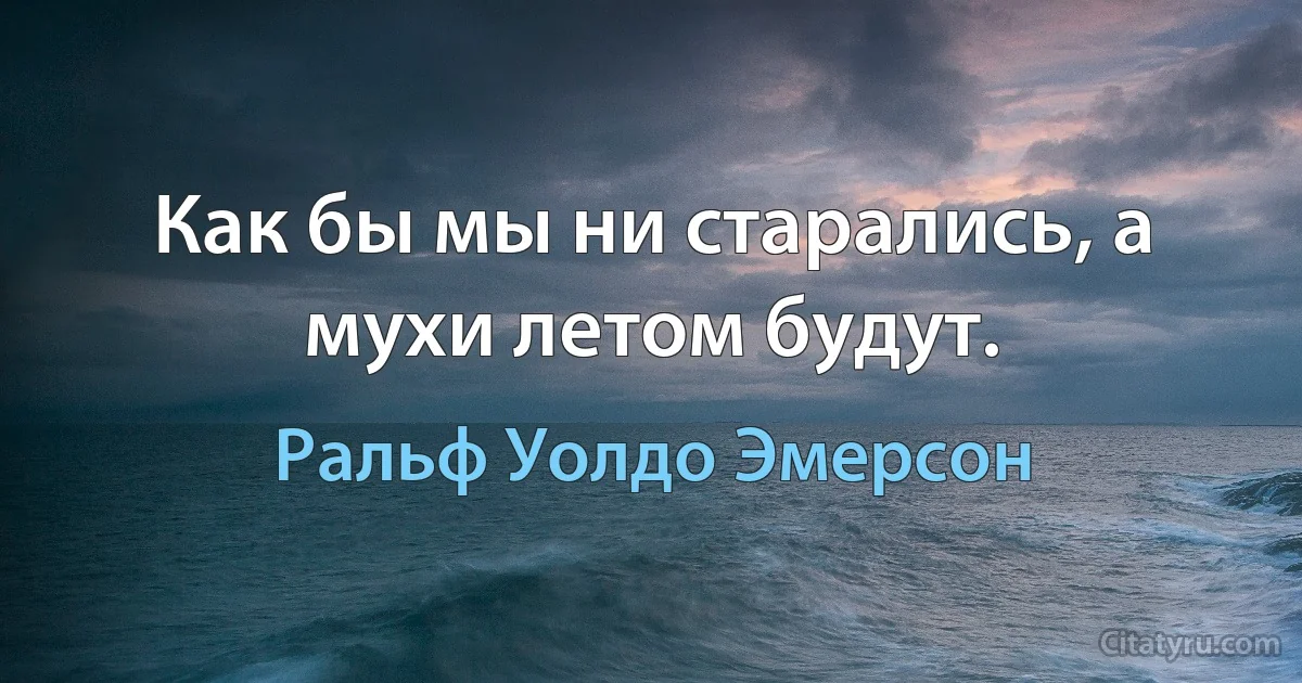 Как бы мы ни старались, а мухи летом будут. (Ральф Уолдо Эмерсон)