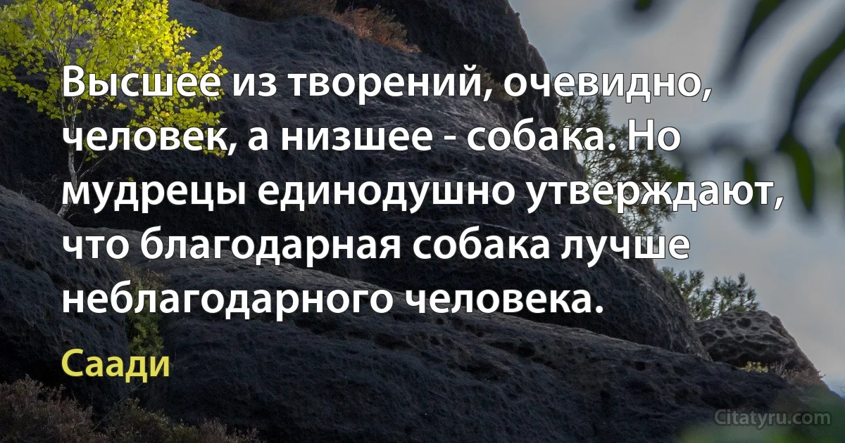 Высшее из творений, очевидно, человек, а низшее - собака. Но мудрецы единодушно утверждают, что благодарная собака лучше неблагодарного человека. (Саади)