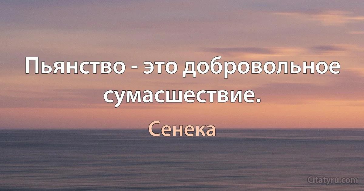 Пьянство - это добровольное сумасшествие. (Сенека)