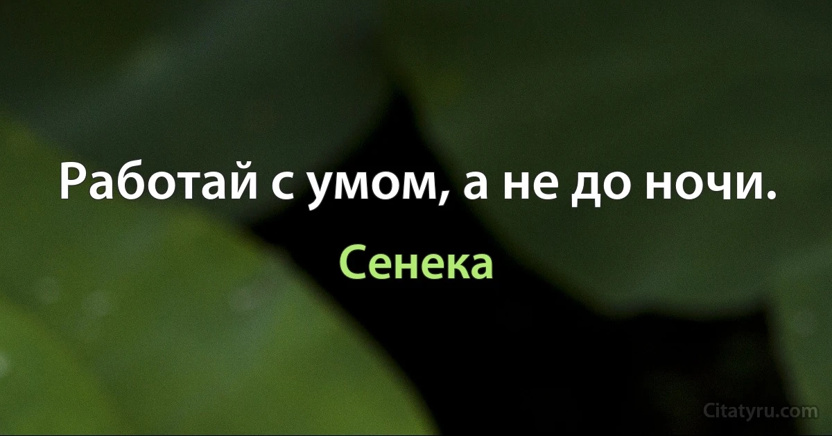 Работай с умом, а не до ночи. (Сенека)