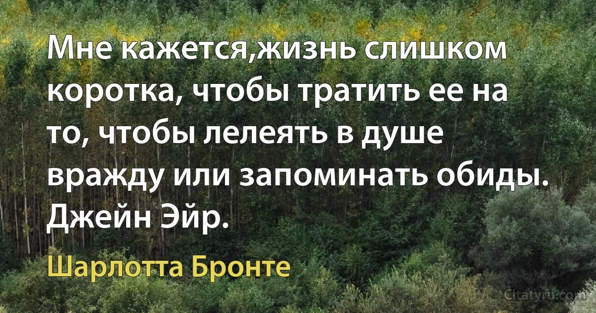 Мне кажется,жизнь слишком коротка, чтобы тратить ее на то, чтобы лелеять в душе вражду или запоминать обиды. 
Джейн Эйр. (Шарлотта Бронте)