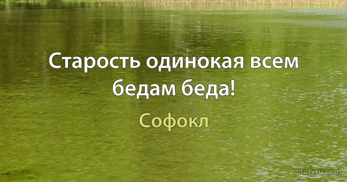 Старость одинокая всем бедам беда! (Софокл)