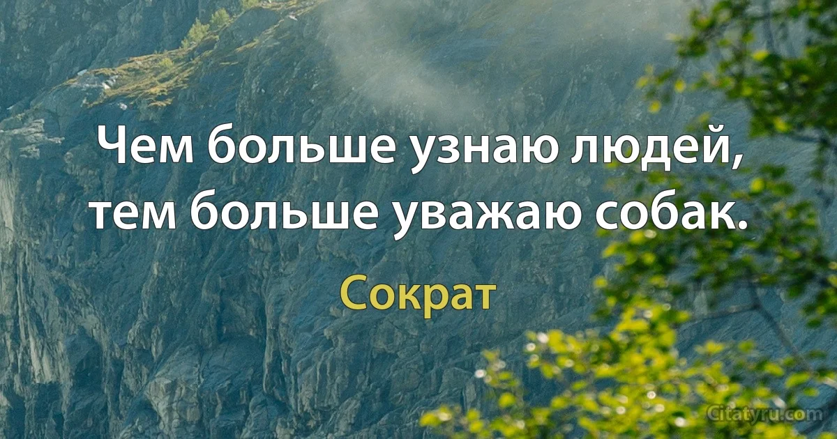 Чем больше узнаю людей, тем больше уважаю собак. (Сократ)