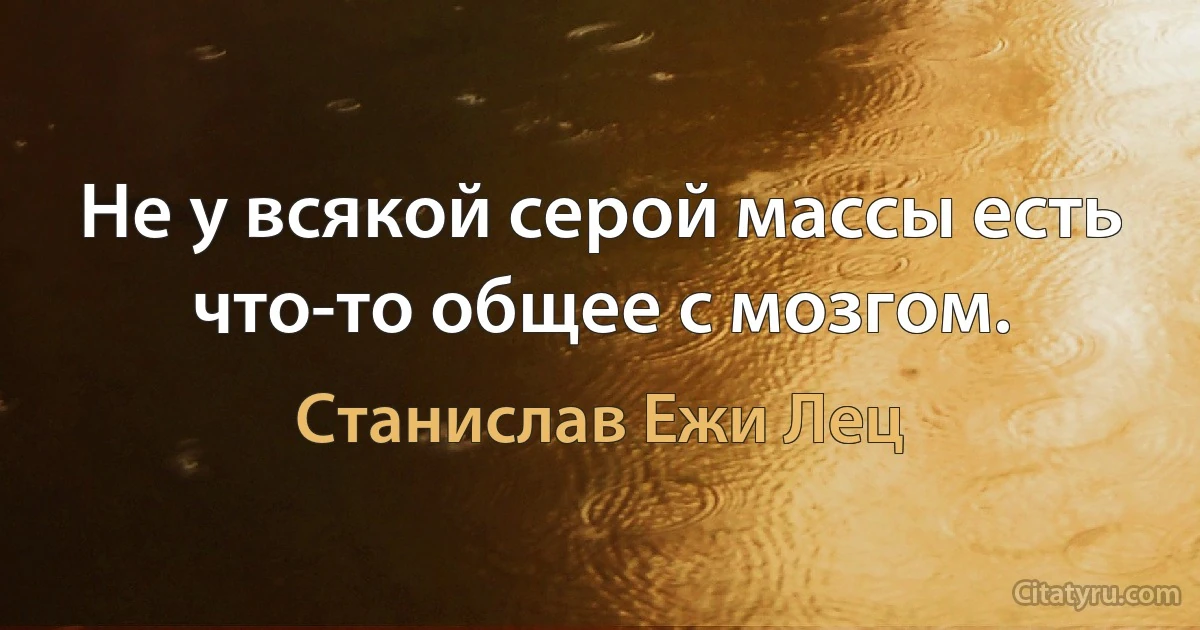 Не у всякой серой массы есть что-то общее с мозгом. (Станислав Ежи Лец)