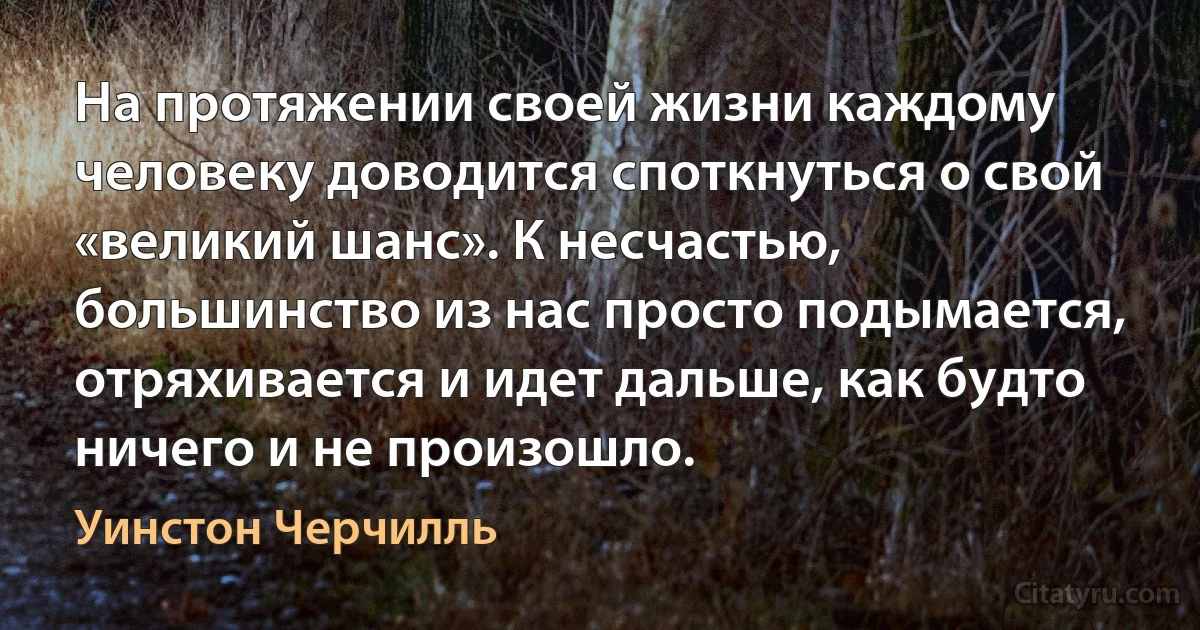 На протяжении своей жизни каждому человеку доводится споткнуться о свой «великий шанс». К несчастью, большинство из нас просто подымается, отряхивается и идет дальше, как будто ничего и не произошло. (Уинстон Черчилль)