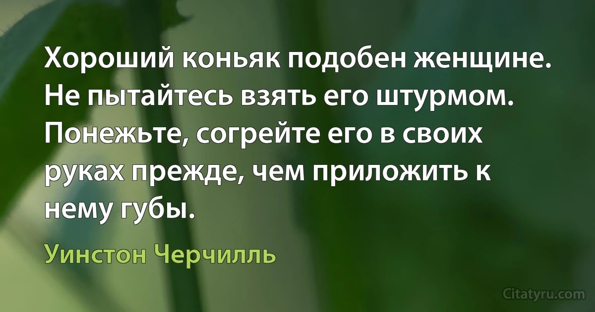 Хороший коньяк подобен женщине. Не пытайтесь взять его штурмом.
Понежьте, согрейте его в своих руках прежде, чем приложить к нему губы. (Уинстон Черчилль)