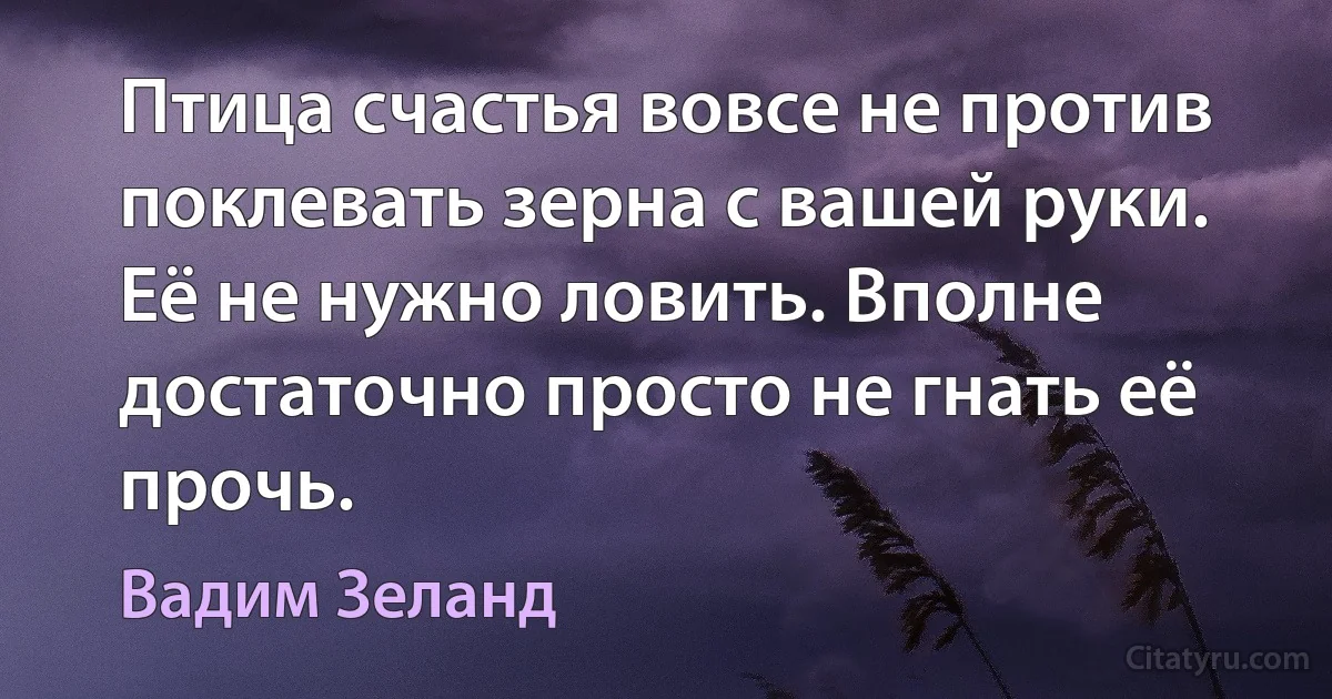 Птица счастья вовсе не против поклевать зерна с вашей руки. Её не нужно ловить. Вполне достаточно просто не гнать её прочь. (Вадим Зеланд)