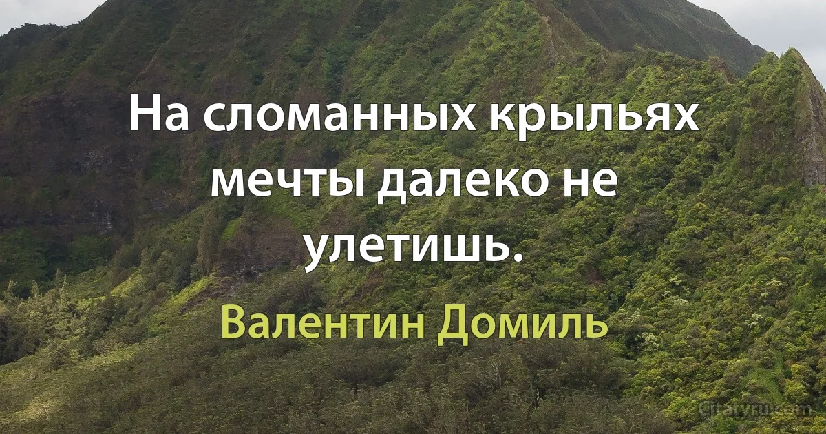 На сломанных крыльях мечты далеко не улетишь. (Валентин Домиль)