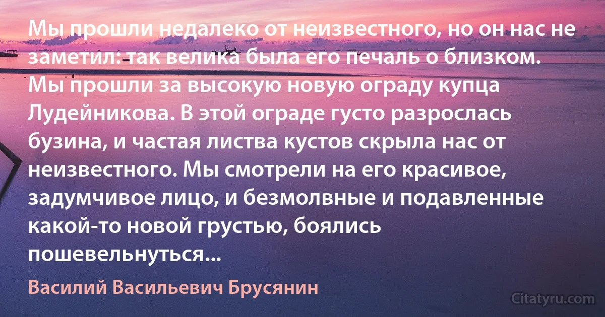 Мы прошли недалеко от неизвестного, но он нас не заметил: так велика была его печаль о близком. Мы прошли за высокую новую ограду купца Лудейникова. В этой ограде густо разрослась бузина, и частая листва кустов скрыла нас от неизвестного. Мы смотрели на его красивое, задумчивое лицо, и безмолвные и подавленные какой-то новой грустью, боялись пошевельнуться... (Василий Васильевич Брусянин)