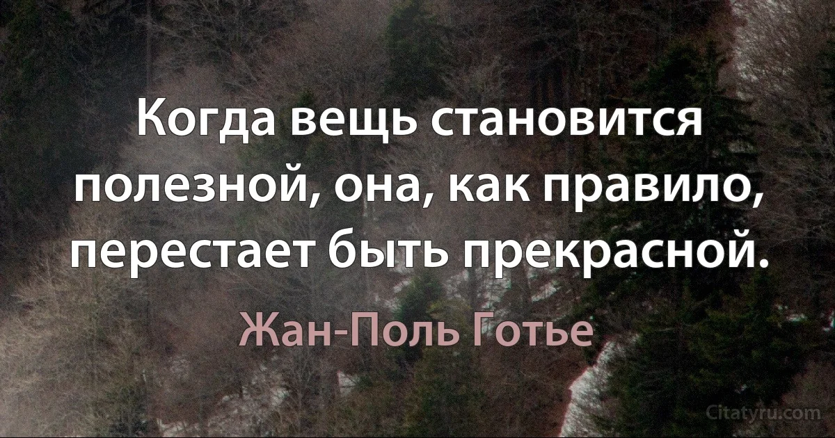 Когда вещь становится полезной, она, как правило, перестает быть прекрасной. (Жан-Поль Готье)