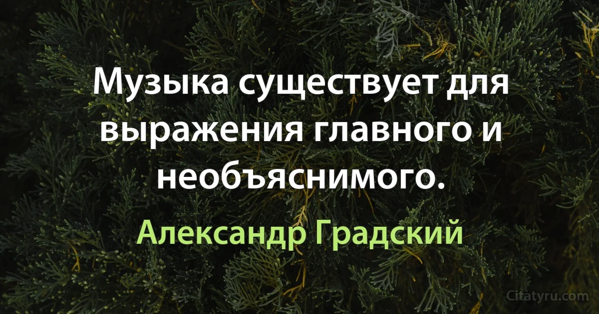 Музыка существует для выражения главного и необъяснимого. (Александр Градский)