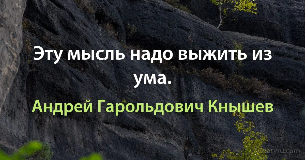 Эту мысль надо выжить из ума. (Андрей Гарольдович Кнышев)