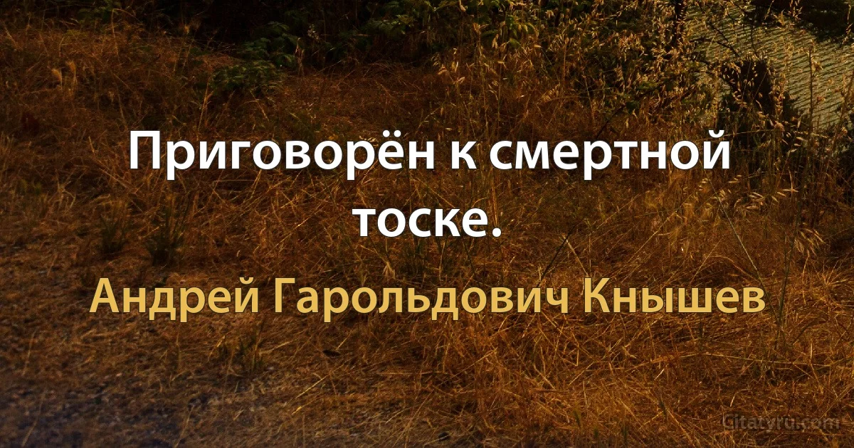 Приговорён к смертной тоске. (Андрей Гарольдович Кнышев)