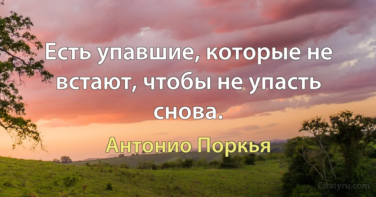 Есть упавшие, которые не встают, чтобы не упасть снова. (Антонио Поркья)