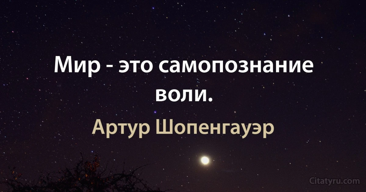 Мир - это самопознание воли. (Артур Шопенгауэр)