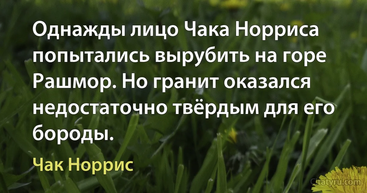 Однажды лицо Чака Норриса попытались вырубить на горе Рашмор. Но гранит оказался недостаточно твёрдым для его бороды. (Чак Норрис)