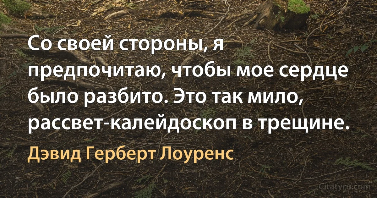 Со своей стороны, я предпочитаю, чтобы мое сердце было разбито. Это так мило, рассвет-калейдоскоп в трещине. (Дэвид Герберт Лоуренс)