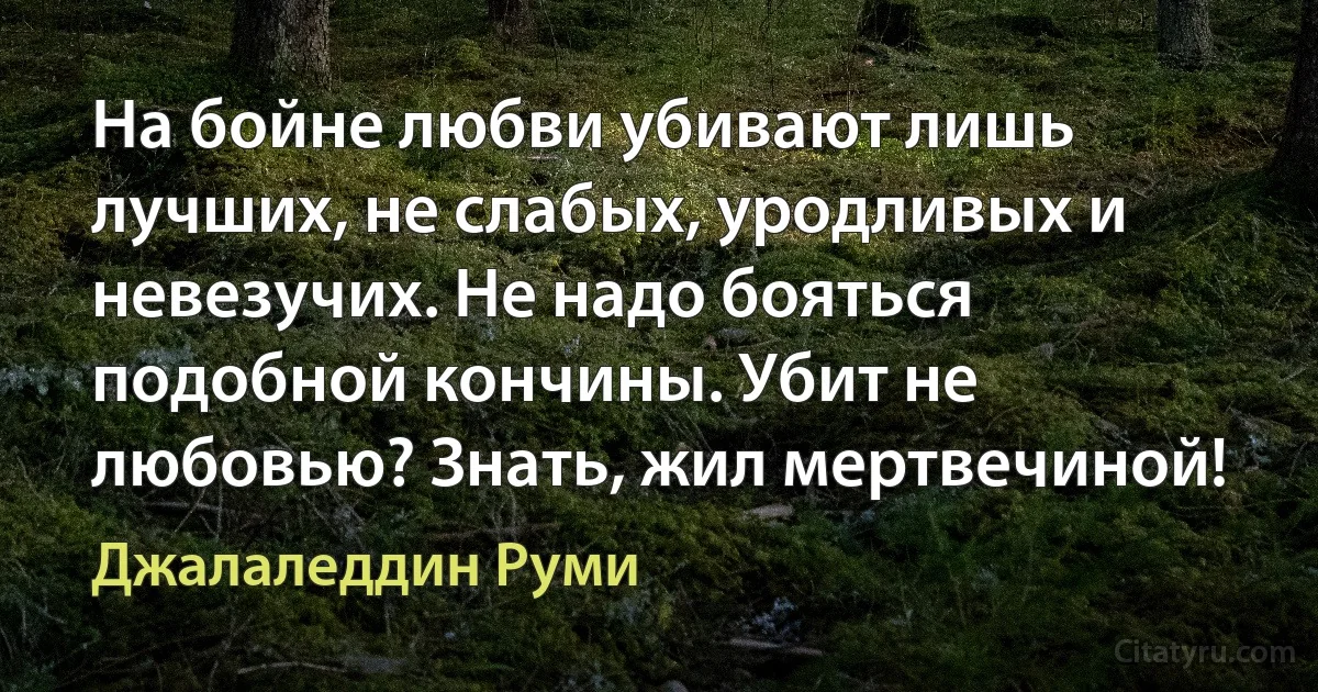 На бойне любви убивают лишь лучших, не слабых, уродливых и невезучих. Не надо бояться подобной кончины. Убит не любовью? Знать, жил мертвечиной! (Джалаледдин Руми)