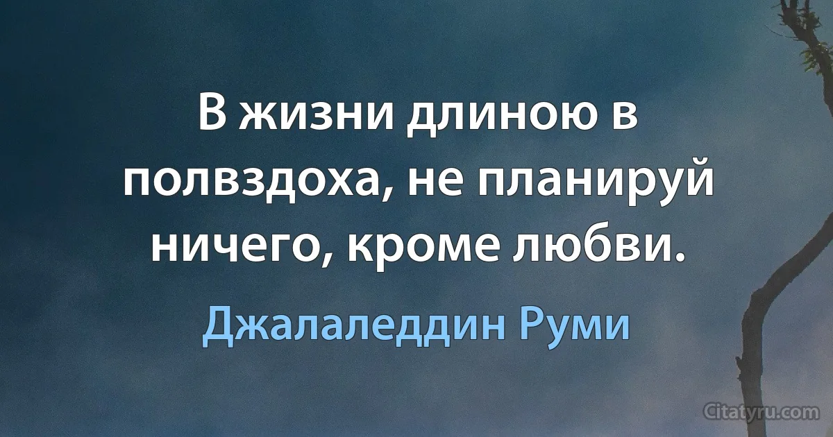 В жизни длиною в полвздоха, не планируй ничего, кроме любви. (Джалаледдин Руми)