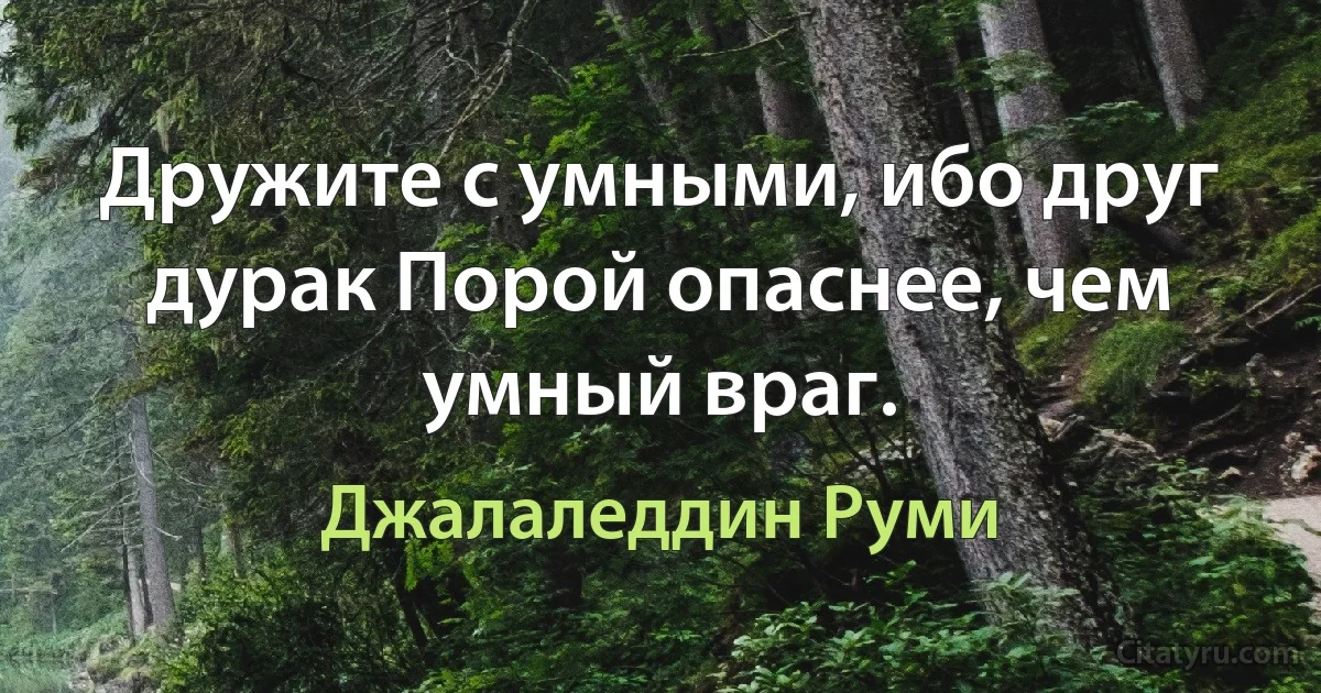 Дружите с умными, ибо друг дурак Порой опаснее, чем умный враг. (Джалаледдин Руми)