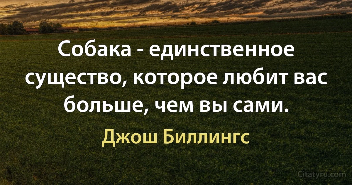 Собака - единственное существо, которое любит вас больше, чем вы сами. (Джош Биллингс)