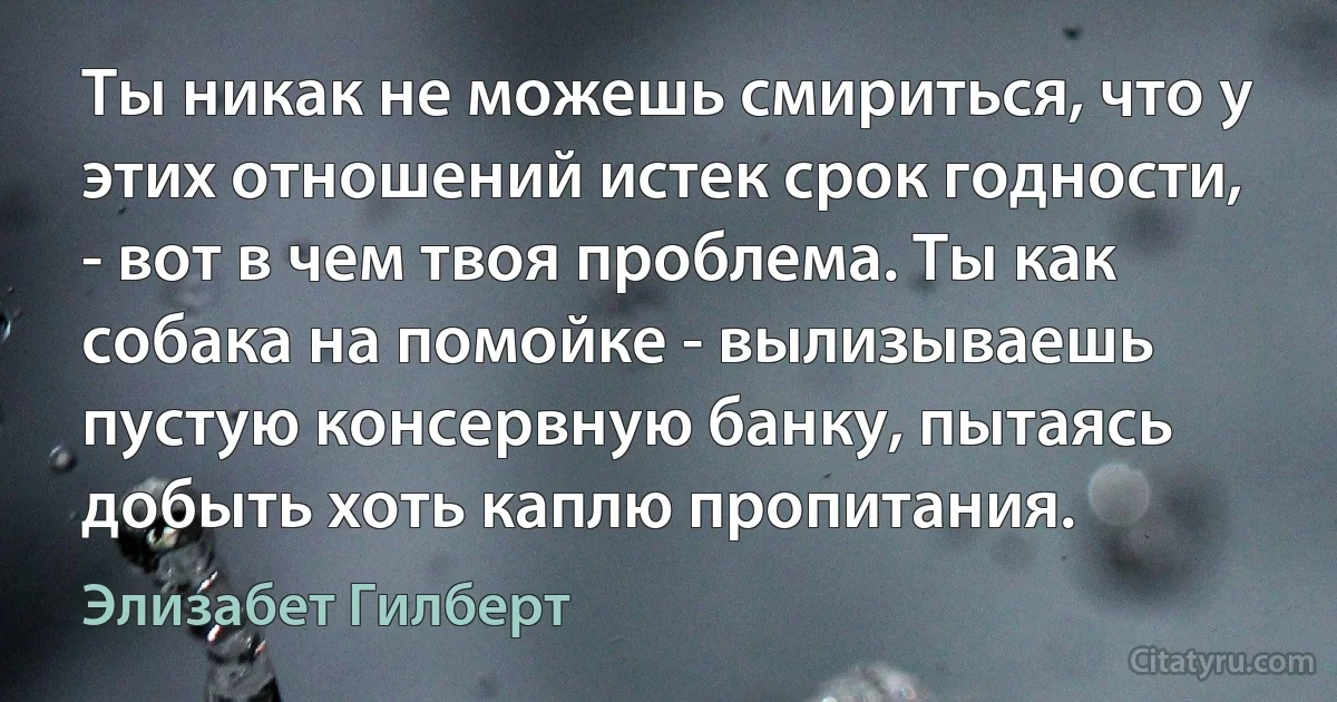 Ты никак не можешь смириться, что у этих отношений истек срок годности, - вот в чем твоя проблема. Ты как собака на помойке - вылизываешь пустую консервную банку, пытаясь добыть хоть каплю пропитания. (Элизабет Гилберт)