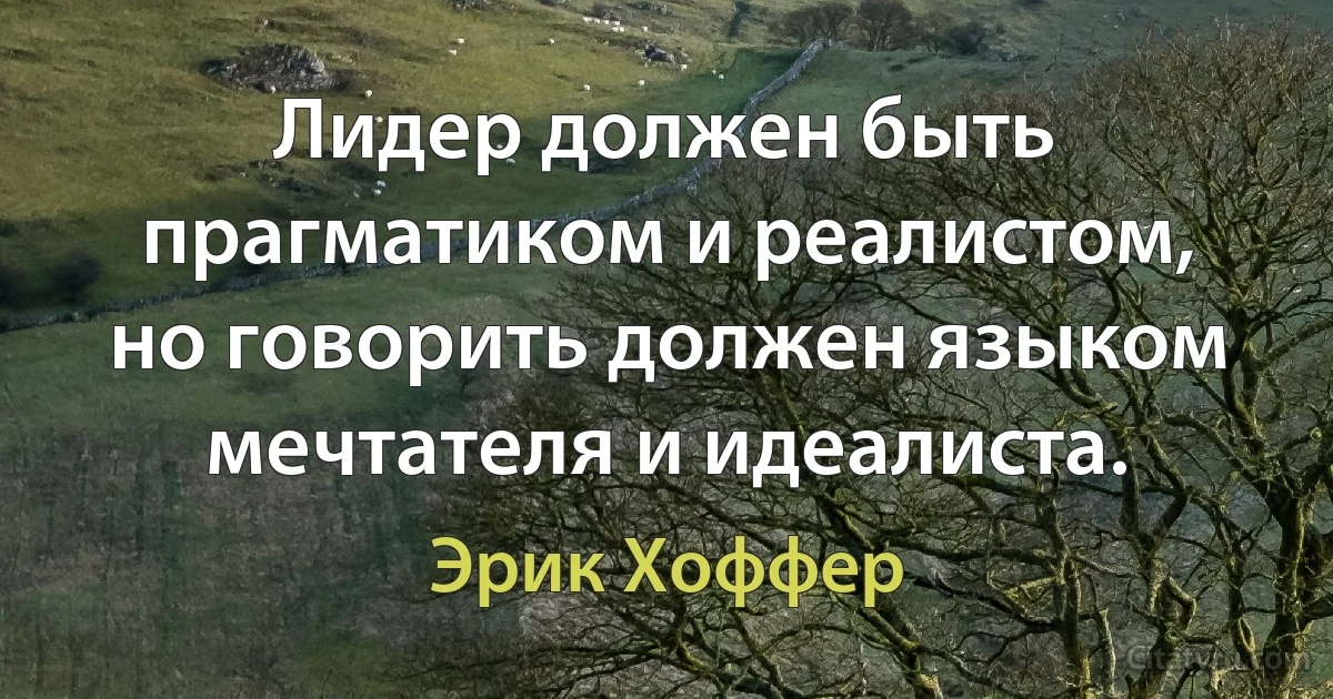 Лидер должен быть прагматиком и реалистом, но говорить должен языком мечтателя и идеалиста. (Эрик Хоффер)