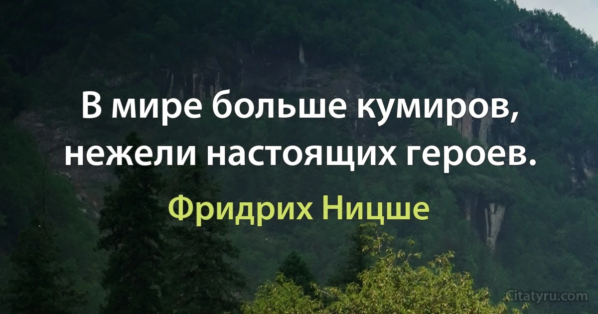 В мире больше кумиров, нежели настоящих героев. (Фридрих Ницше)