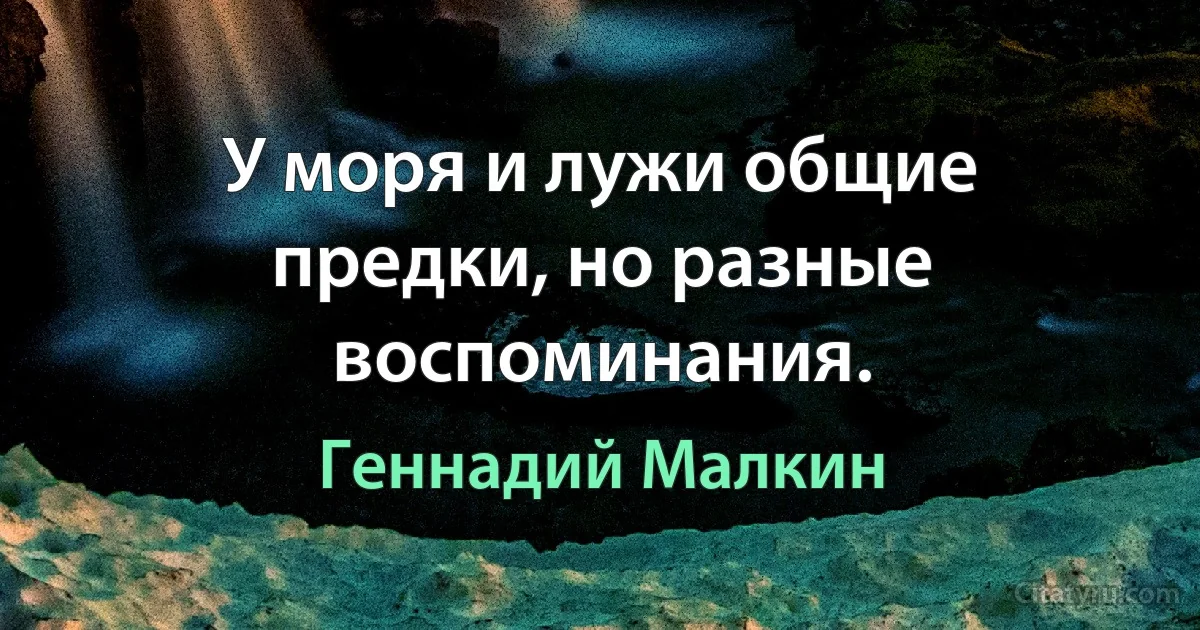 У моря и лужи общие предки, но разные воспоминания. (Геннадий Малкин)