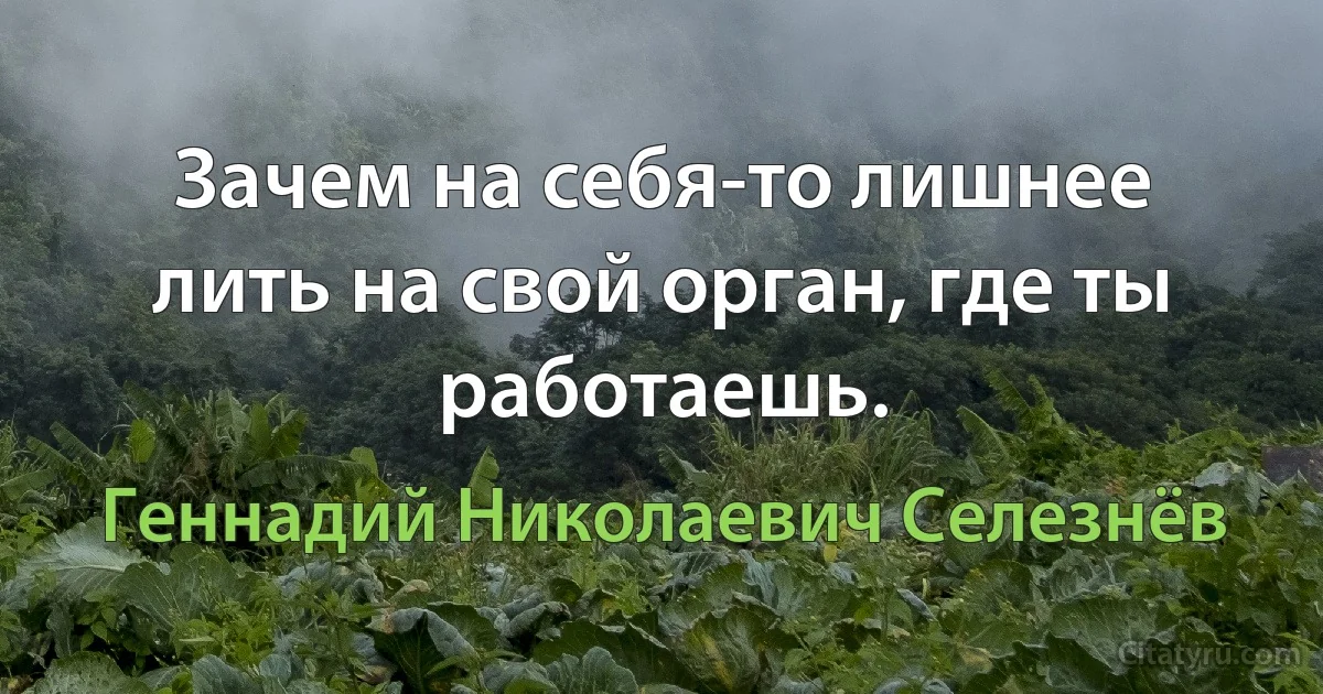 Зачем на себя-то лишнее лить на свой орган, где ты работаешь. (Геннадий Николаевич Селезнёв)