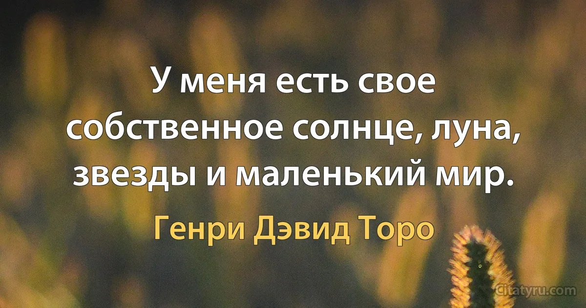 У меня есть свое собственное солнце, луна, звезды и маленький мир. (Генри Дэвид Торо)