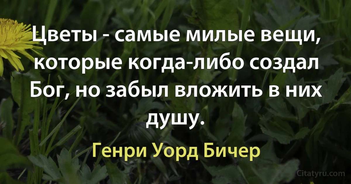 Цветы - самые милые вещи, которые когда-либо создал Бог, но забыл вложить в них душу. (Генри Уорд Бичер)