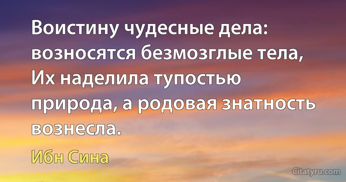 Воистину чудесные дела: возносятся безмозглые тела,
Их наделила тупостью природа, а родовая знатность вознесла. (Ибн Сина)