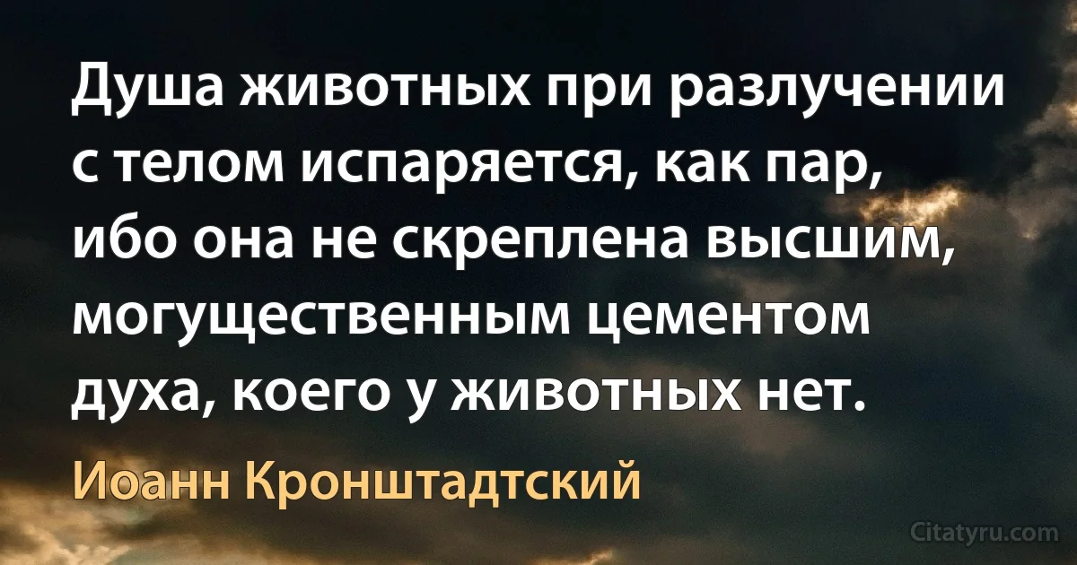 Душа животных при разлучении с телом испаряется, как пар, ибо она не скреплена высшим, могущественным цементом духа, коего у животных нет. (Иоанн Кронштадтский)