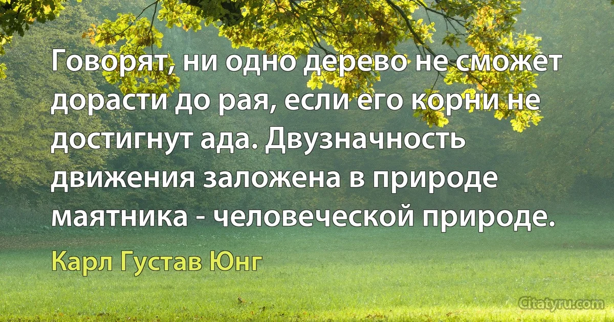 Говорят, ни одно дерево не сможет дорасти до рая, если его корни не достигнут ада. Двузначность движения заложена в природе маятника - человеческой природе. (Карл Густав Юнг)