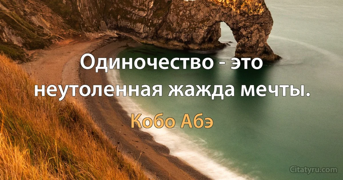 Одиночество - это неутоленная жажда мечты. (Кобо Абэ)