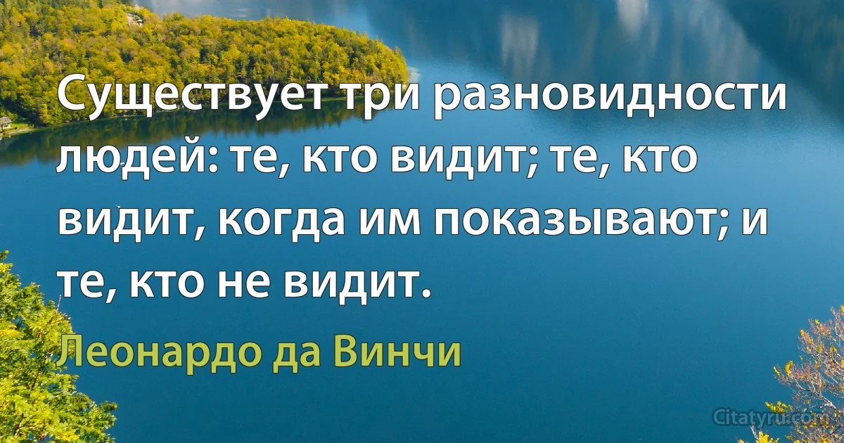 Существует три разновидности людей: те, кто видит; те, кто видит, когда им показывают; и те, кто не видит. (Леонардо да Винчи)