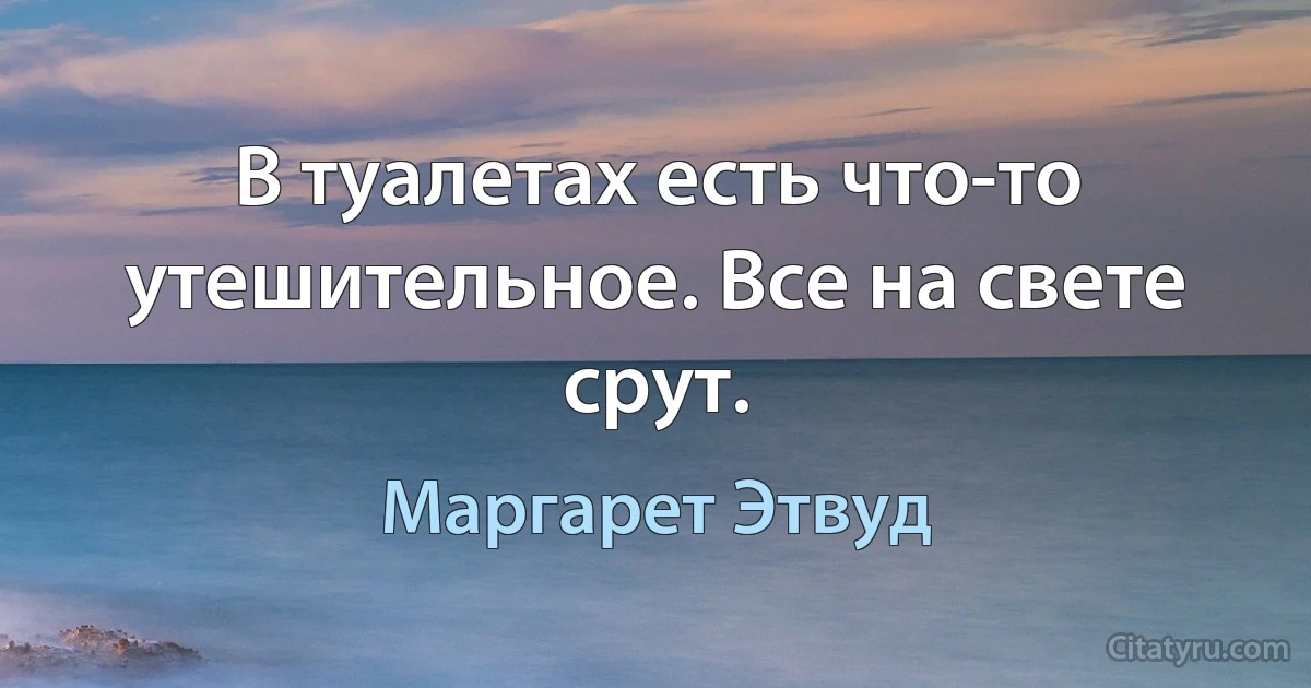 В туалетах есть что-то утешительное. Все на свете срут. (Маргарет Этвуд)