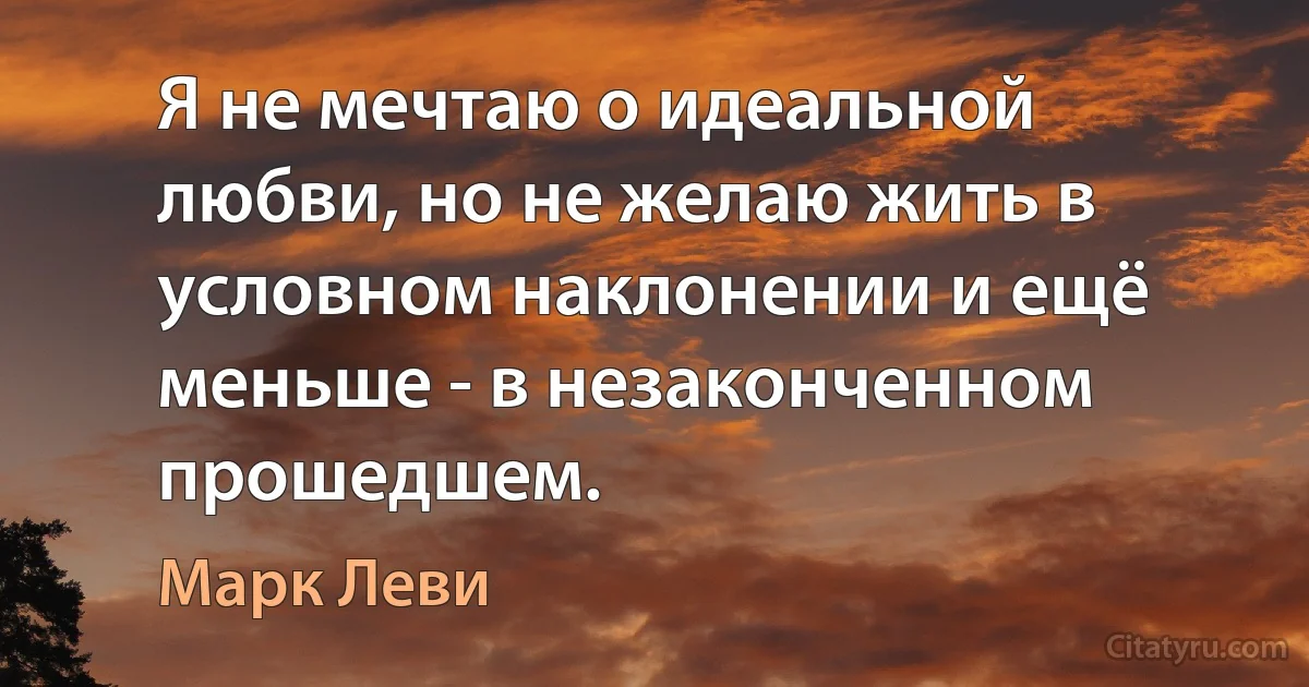 Я не мечтаю о идеальной любви, но не желаю жить в условном наклонении и ещё меньше - в незаконченном прошедшем. (Марк Леви)