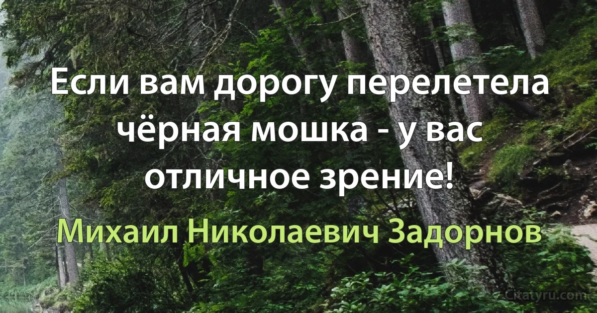 Если вам дорогу перелетела чёрная мошка - у вас отличное зрение! (Михаил Николаевич Задорнов)