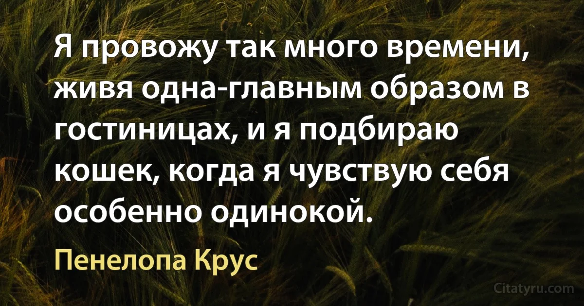 Я провожу так много времени, живя одна-главным образом в гостиницах, и я подбираю кошек, когда я чувствую себя особенно одинокой. (Пенелопа Крус)