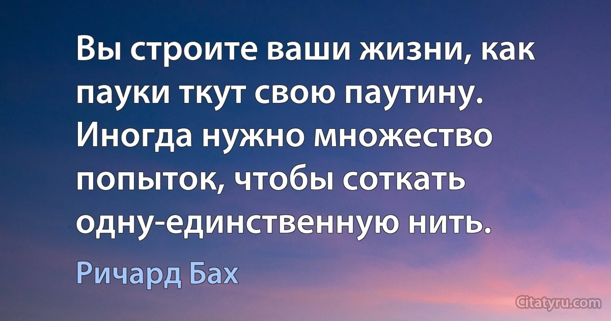 Вы строите ваши жизни, как пауки ткут свою паутину.
Иногда нужно множество попыток, чтобы соткать одну-единственную нить. (Ричард Бах)