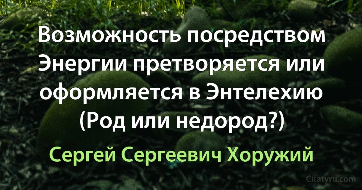 Возможность посредством Энергии претворяется или оформляется в Энтелехию (Род или недород?) (Сергей Сергеевич Хоружий)