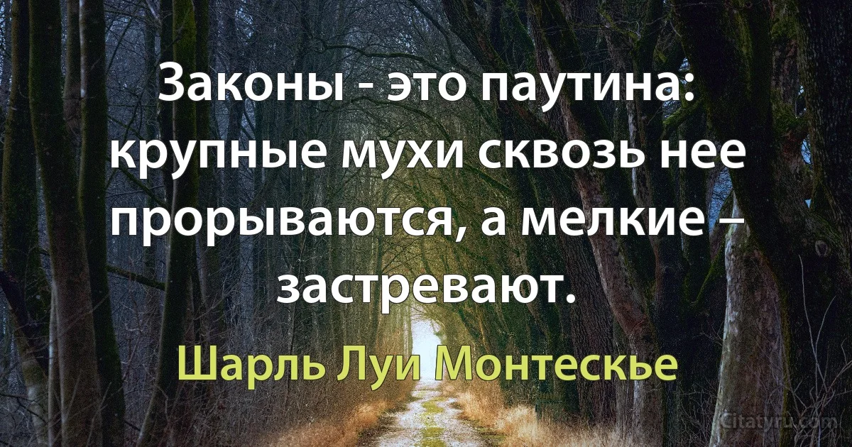 Законы - это паутина: крупные мухи сквозь нее прорываются, а мелкие – застревают. (Шарль Луи Монтескье)