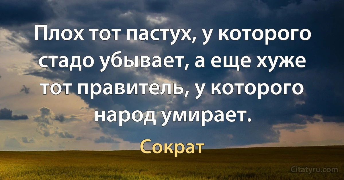 Плох тот пастух, у которого стадо убывает, а еще хуже тот правитель, у которого народ умирает. (Сократ)