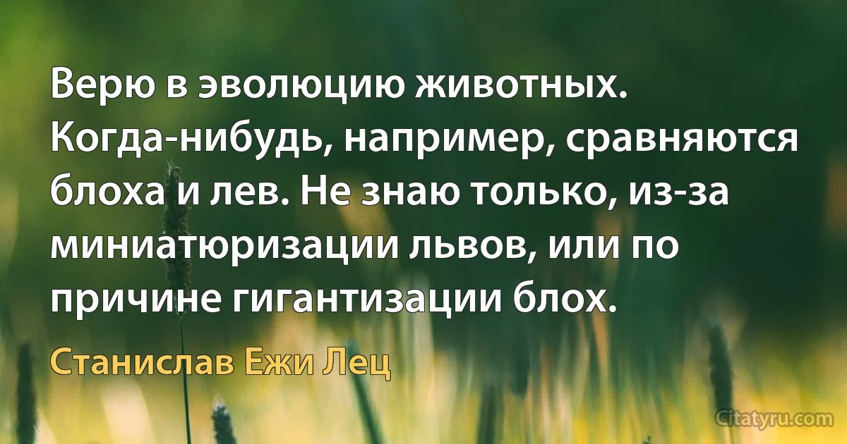 Верю в эволюцию животных. Когда-нибудь, например, сравняются блоха и лев. Не знаю только, из-за миниатюризации львов, или по причине гигантизации блох. (Станислав Ежи Лец)