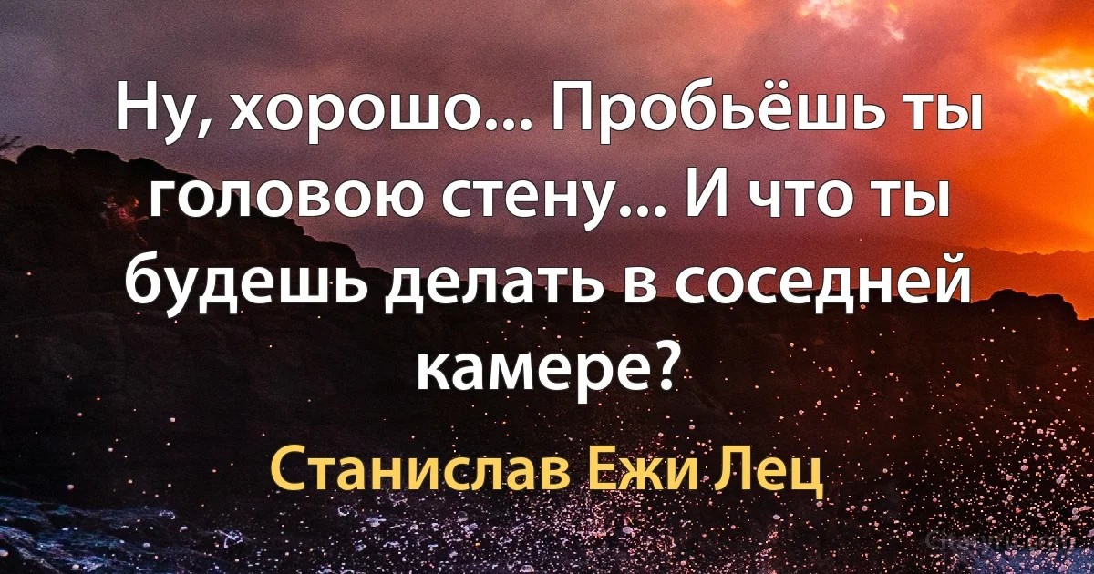 Ну, хорошо... Пробьёшь ты головою стену... И что ты будешь делать в соседней камере? (Станислав Ежи Лец)