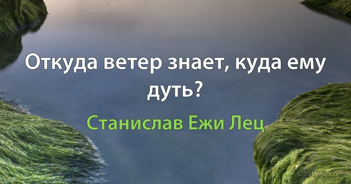 Откуда ветер знает, куда ему дуть? (Станислав Ежи Лец)