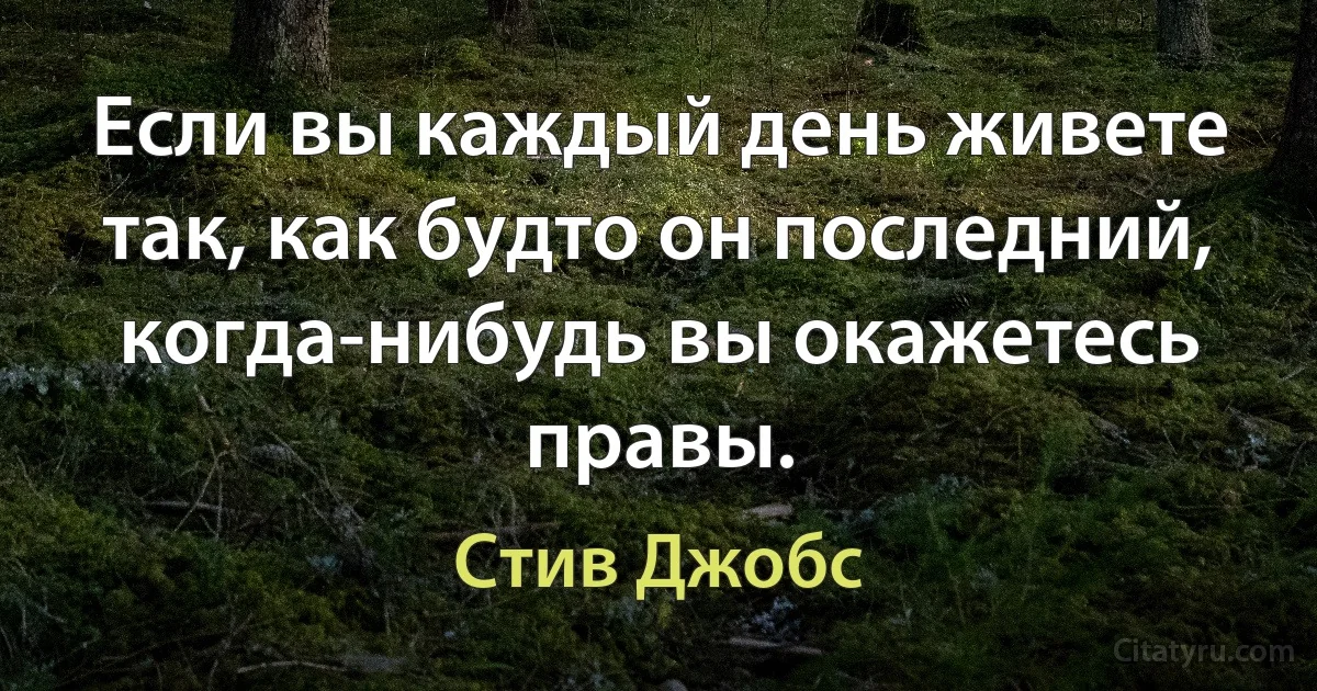 Если вы каждый день живете так, как будто он последний, когда-нибудь вы окажетесь правы. (Стив Джобс)