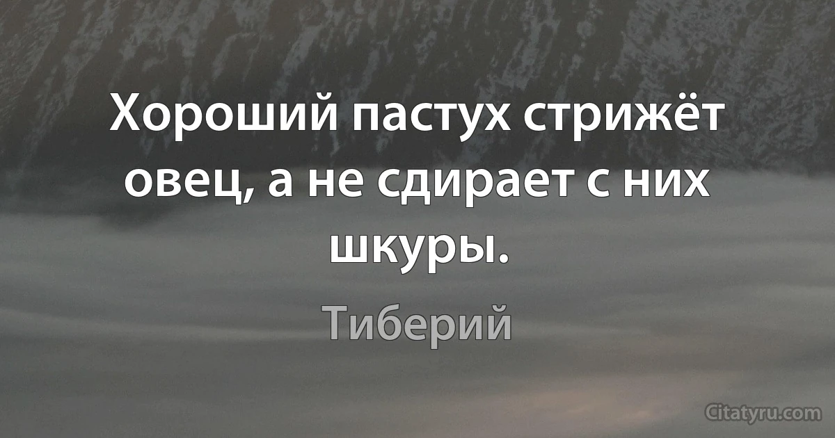 Хороший пастух стрижёт овец, а не сдирает с них шкуры. (Тиберий)